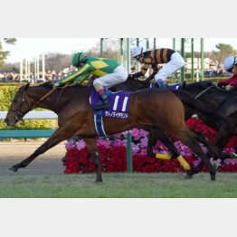 有馬記念ではキタサンブラックとの死闘を制した