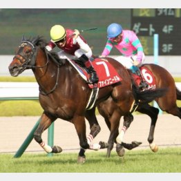 前哨戦を好時計勝ち