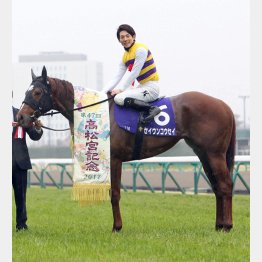 高松宮記念を制したセイウンコウセイ