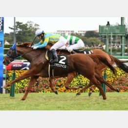 勝浦特別ではクラウンアイリスが差し切り勝ち
