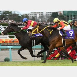 15年有馬記念は首差②着