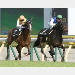 プリンシパルSはレースレコードでの勝利