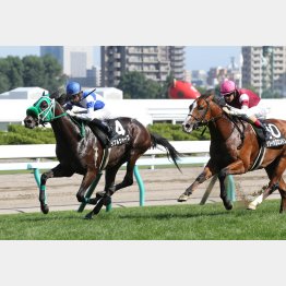 中央初参戦のクローバー賞で勝利