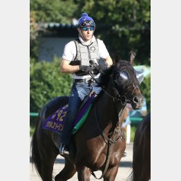 ルメールは2週前にソウルスターリングの追い切りに
