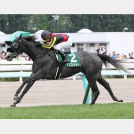 クイーンSで古馬を撃破