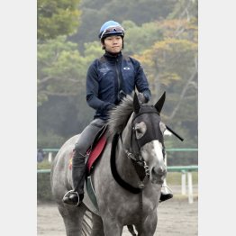 今回は三浦の連続騎乗