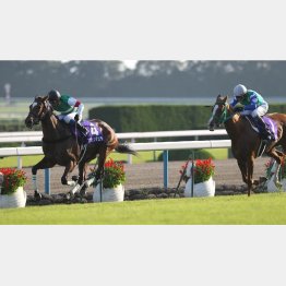 11年はアヴェンチュラが重賞連勝