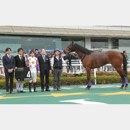 カワキタエンカ(木田牧場)