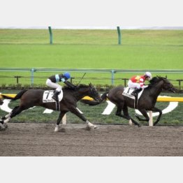 ダート千四はダークリパルサーが逃げ切り勝ち