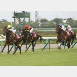 2連勝で挑んだ神戸新聞杯は②着に