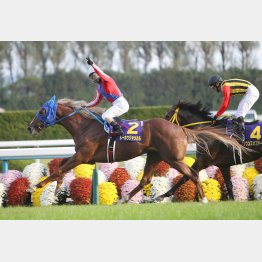 14年は1、2枠で決着