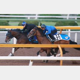 重賞勝ちがあるプロフェット(外)に半馬身先着しts