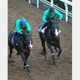 相手はジョッキーで内を回った(ダンビュライトは右)