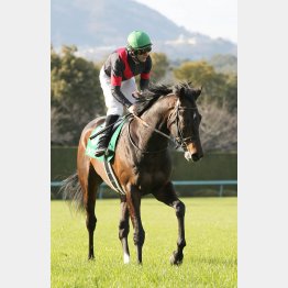 春はアーリントンCを快勝