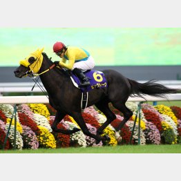 10年は10年は③着のビッグウィークが7番人気でV
