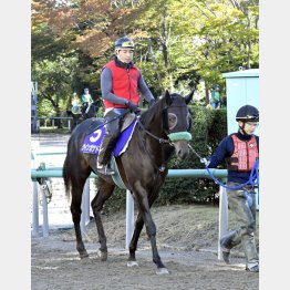 ウインガナドルは闘志満々