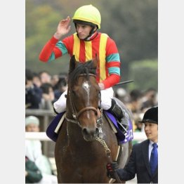 昨年はムーアのモーリスが勝利