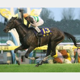 菊花賞はキセキが勝利