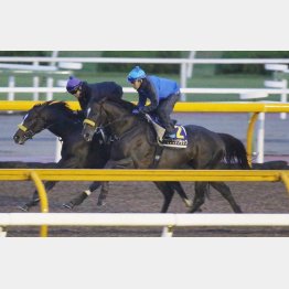 けさは2歳馬(左)に胸を貸した
