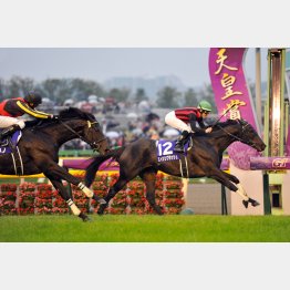 12年エイシンフラッシュは秋2戦目でV