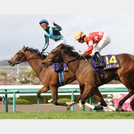 兄を負かした13年桜花賞が自身の初GⅠ勝ち