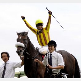 シンゲンはオールカマーで復活勝利