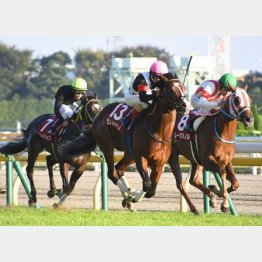 昨年の京王杯2歳SはモンドキャンノがV