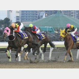 同じ舞台の東京大賞典はアポロケンタッキーがV