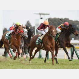 春はダイヤモンドS勝ち