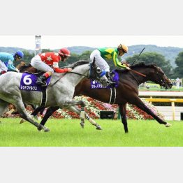 春の安田記念はサトノアラジンが勝利