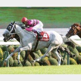 京都大賞典で牡馬を一蹴