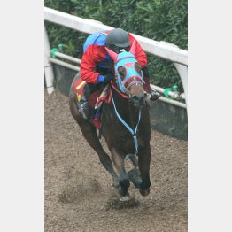 きのうの追い切りは「満足のいく動き」と西園師