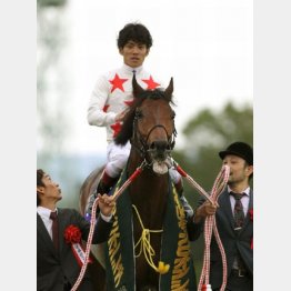 昨年の勝ち馬はミッキーアイル