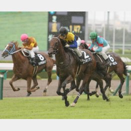 ワグネリアンは野路菊S勝ちで3連勝