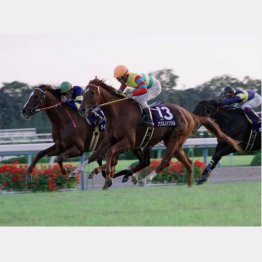 最後の勝利は00年アグネスデジタル