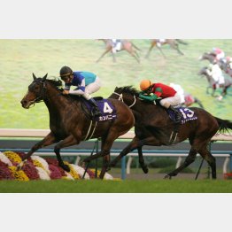 09年には14番人気マイネルファルケが②着に粘った