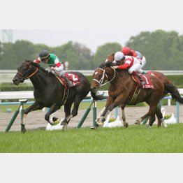 昨年、この舞台でマイラーズC勝ち