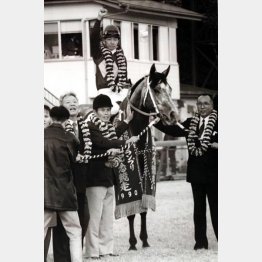 あのオグリキャップも故・瀬戸口調教師が管理していた(1990年の有馬記念で)