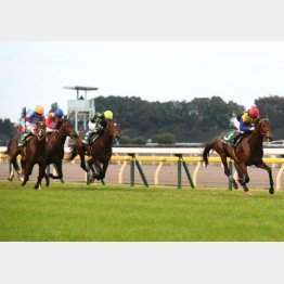 ワグネリアンはGⅢ東スポ杯2歳Sも完勝