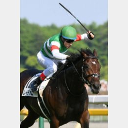 ダービーを快勝