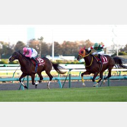 12年勝ち馬トウカイトリックは10歳だった