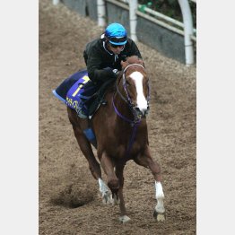 主戦が3週連続で騎乗