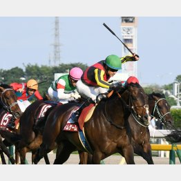 今年は目黒記念に勝利