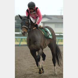 マーチSは7歳馬インカンテーションがV