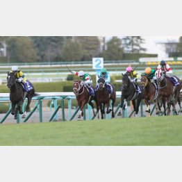 昨年まで関東馬が3連勝