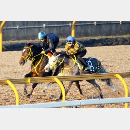 楽々と1馬身先着した(左)