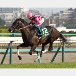 春は3連勝で重賞制覇
