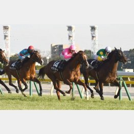 白富士Sで後の重賞馬を完封