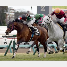 初富士Sを差し切り