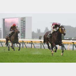 前走は4馬身差の圧勝
